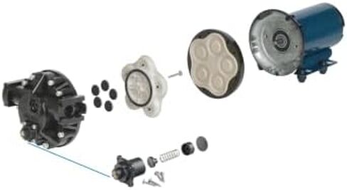 Delavan 3120-421F SmartFLO 12-Volt Bypass/Demand Diaphragm Pump - Bypass and Demand Pump - 2.2 GPM in Kuwait