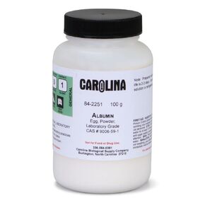 Albumin, Laboratory Grade, 100 g in Kuwait
