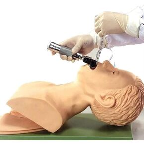Intubation Manikin Study Teaching Model PVC Airway Management Trainer for Medical Educational Training Aid. 220V in Kuwait