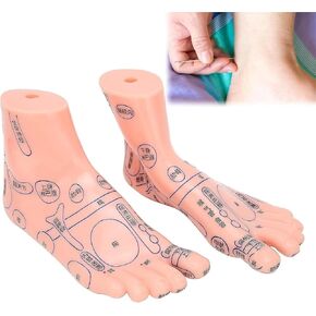 Foot Acupuncture Model, Pressure Point Massage, Suitable for Classroom Research and Teaching in Kuwait