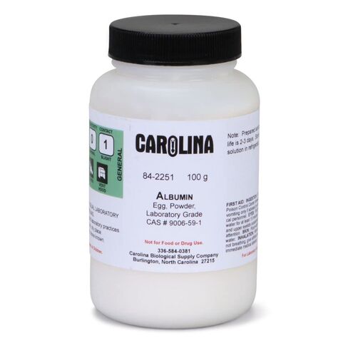 Albumin, Laboratory Grade, 100 g in Kuwait