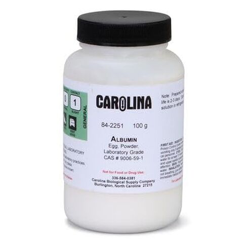 Albumin, Laboratory Grade, 100 g in Kuwait