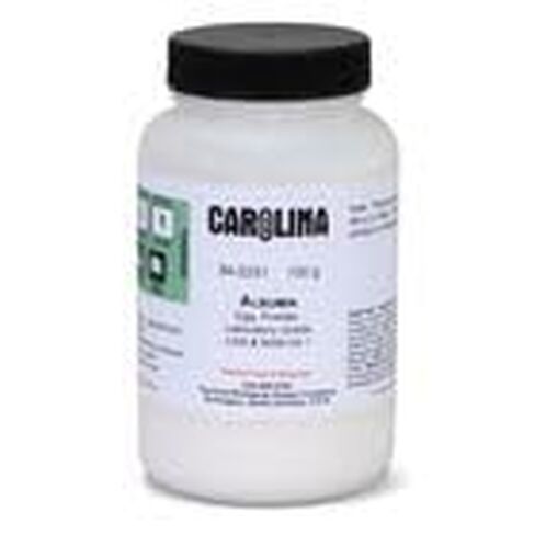 Albumin, Laboratory Grade, 100 g in Kuwait