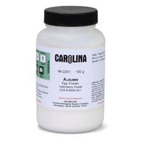 Albumin, Laboratory Grade, 100 g in Kuwait