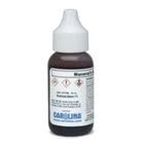 Maneval's Stain, Laboratory Grade, 30mL in Kuwait