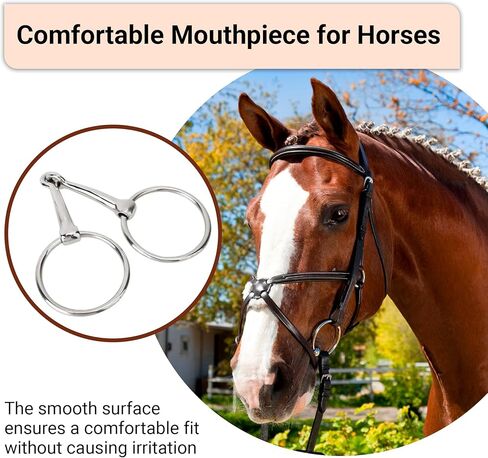 Ring Snaffle Bit for Horse, Iron in Kuwait