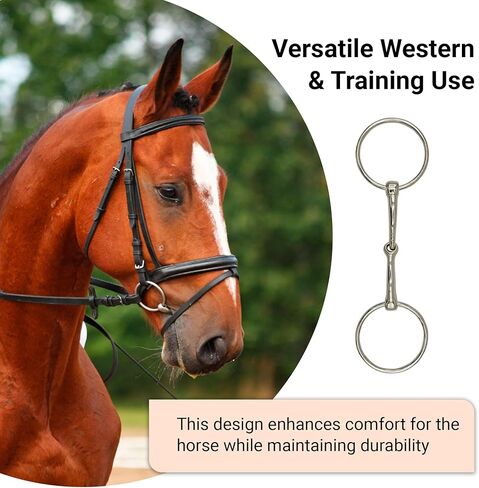 Ring Snaffle Bit for Horse, Iron in Kuwait