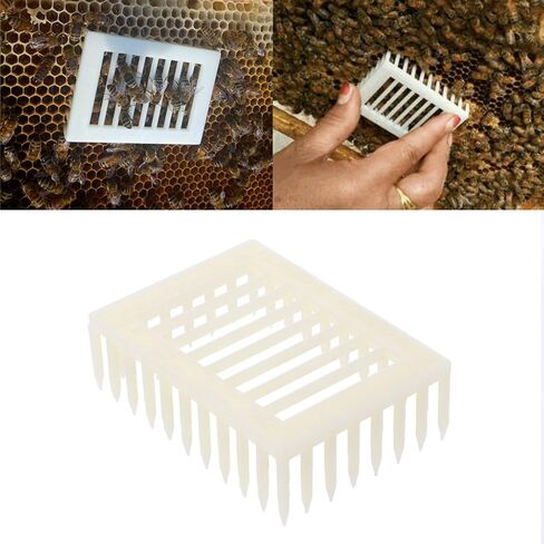 Cage s Tools Cages Queen Rearing Cupkit System Keeping Equipment Keeping Exquisite Workmanship Easy to Use Clean in Kuwait