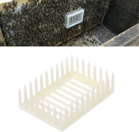 Cage s Tools Cages Queen Rearing Cupkit System Keeping Equipment Keeping Exquisite Workmanship Easy to Use Clean in Kuwait