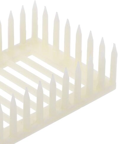 Cage s Tools Cages Queen Rearing Cupkit System Keeping Equipment Keeping Exquisite Workmanship Easy to Use Clean in Kuwait