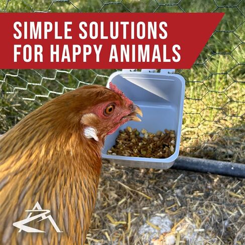 The ROP Shop 6-Pack - Gray Cage Cups with Shift Lock Design for Caged and Fenced Animals in Saudi Arabia