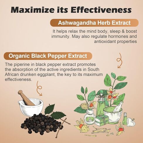 OMOGS Organic Ashwagandha, Pure Herb Extract, Added Black Pepper, High Absorption, for Boosts Energy, Sleep, Focus, Stress Relief.& Immune Support, Non-GMO, 90 Vegetable Capsules in Kuwait