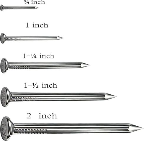 Nails for Hanging Pictures & Picture Hanging Nails on Concrete Wall - 345-Piece Masonry Nails Assortment Kit (5 Sizes: 3/4" to 2"), Harder Than Regular, Galvanized for Brick, Drywall with Storage Box in Saudi Arabia