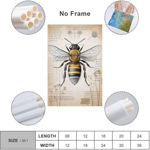 VMXWLL Large Vintage Honey Bee Wall Art - Scientific Entomology Canvas Print - Rustic Farmhouse & Dark Academia Room Decor - Aesthetic Insect Anatomy Poster - Unframed 16x24 Inch in Saudi Arabia
