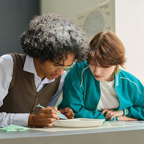 عضلات اليد مخطط التشريح الرقائقي in Kuwait