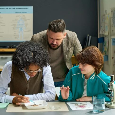 عضلات اليد مخطط التشريح الرقائقي in Kuwait