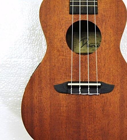 القيثارة الصوتية الكهربائية للحفلات مقاس 24 بوصة، جسم الماهوجني المصفح DC-10E in Kuwait