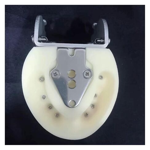 S Teeth Teaching Model, 's Deciduous, Suitable for, Dentists, Dental Students, Display in Saudi Arabia
