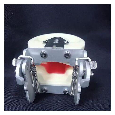 S Teeth Teaching Model, 's Deciduous, Suitable for, Dentists, Dental Students, Display in Saudi Arabia