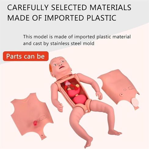 Neonatal Model, 1.8ft Life-Size Simulator Anatomical with Replaceable Chest Skin and Storage Bag in Saudi Arabia