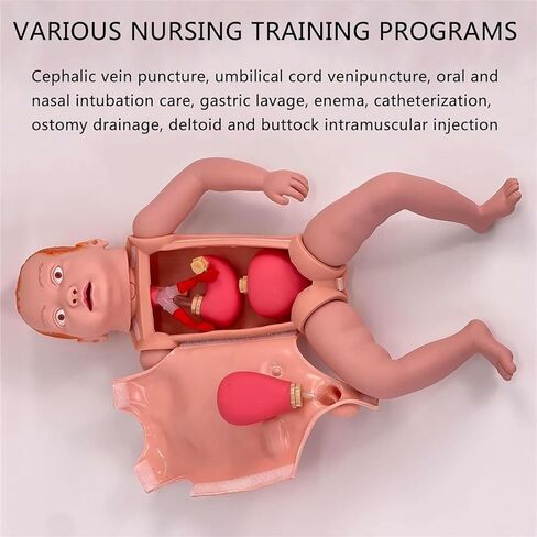 Neonatal Model, 1.8ft Life-Size Simulator Anatomical with Replaceable Chest Skin and Storage Bag in Saudi Arabia