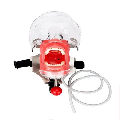 Dental Sci-fi Shadow Puppet Model with Silicone Mask and Detachable Teeth for Student Training, Rotating(Clipped on The Table) in Kuwait