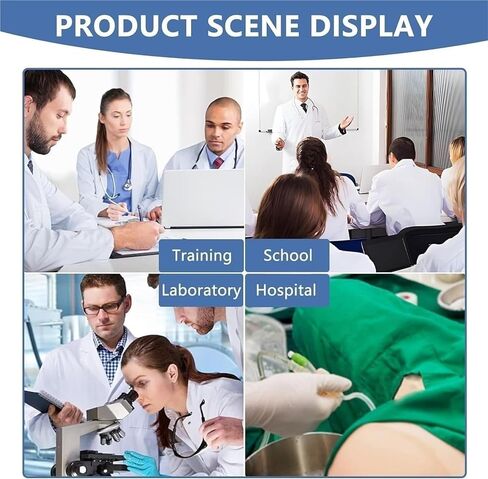 Human Muscle and Organ Model, 27 Parts, Detachable, Suitable for Medical Education and Training in Kuwait