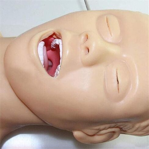 Intubation Manikin Study Teaching Model PVC Airway Management Trainer for Medical Educational Training Aid. 220V in Kuwait