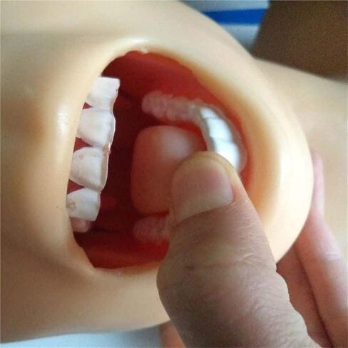 Intubation Manikin Study Teaching Model PVC Airway Management Trainer for Medical Educational Training Aid. 220V in Kuwait