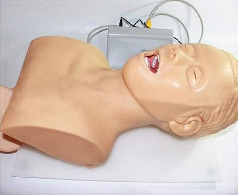 Intubation Manikin Study Teaching Model PVC Airway Management Trainer for Medical Educational Training Aid. 220V in Kuwait