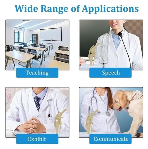 Dog Knee Joint Model, Anatomical Canine, Artificial Natural Size PVC Anatomy with Animal Skeleton in Kuwait