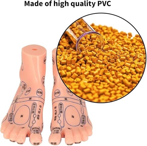 Foot Acupuncture Model, Pressure Point Massage, Suitable for Classroom Research and Teaching in Kuwait