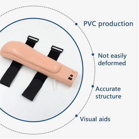 Upper Arm Muscle Injection Model, with Depth Indicator and Alarm, Suitable for Medical Students to Practice in Pairs in Saudi Arabia