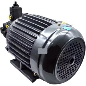 1 قطعة مضخة ريشة VCM-SF-30D-20 مع محرك كهربائي 380 فولت ، 2.2KW ، 50 هرتز مضخة زيت ضغط عالي in Kuwait