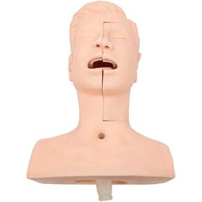 Nasal and Oral Advanced Suction Training Model, PVC, Used for Human Patient Education Teaching Tool in Kuwait
