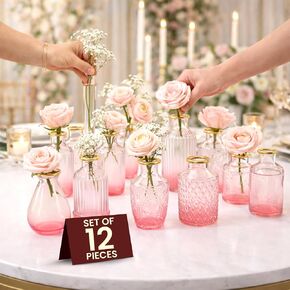 Premium Heirloom Hills Bud Vases for Home Decor, Crystal Clear Glass Flower Vase Set of 30 with Hand-Painted Gold Rims, Small Vases for Centerpieces and Wedding Decorations (Clear, Set of 30) in Saudi Arabia