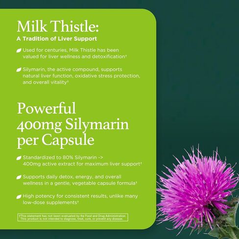 High Potency Silymarin 400mg Milk Thistle Extract 500mg for Optimal Liver Health & Detox Antioxidant Support | 60 Vegan Capsules – Innervis Nutrition in Kuwait