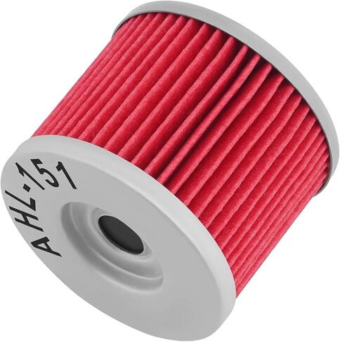 1/2/3/4Pc Motorcycle Oil Filters For F650 G650 GS ST Xchallenge Xcountry Xmoto For Aprilia TR320 ETX 350 650 Pegaso 0256185(4pcs) in Saudi Arabia