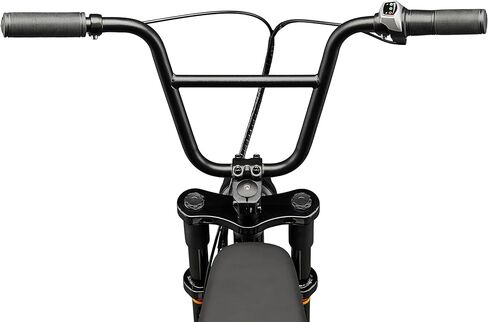 Schwinn Hurricane eBike in Saudi Arabia