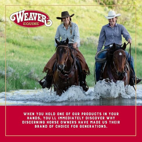 طقم رأس توجيه من البلاستيك من Weaver Equine مقاس 20 بوصة، مجموعة رأس توجيه دمية سهلة الاستخدام مع مسامير معدنية، حبل حبال مشمع للأطفال للتحكم والمرونة in Kuwait