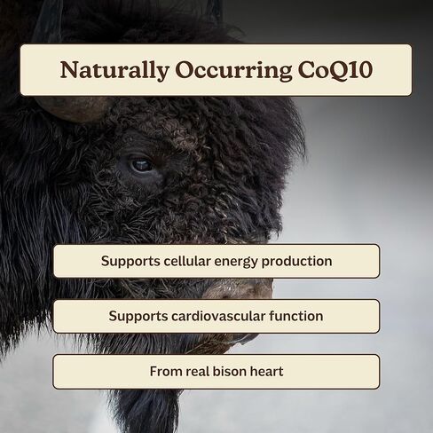 MK Supplements IRONCLAD | Beef Spleen & Bison Heart Capsules | ~58% DV Heme Iron + CoQ10 | No GI Distress | Freeze-Dried | 150 Capsules in Kuwait