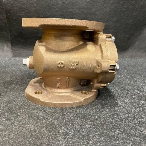 Industrial 3-Inch Bronze Plate Strainer, 150 PSI Maximum Working Pressure, FF Flanged, 3/16" Stainless Steel Screen in Kuwait