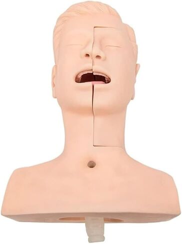 Nasal and Oral Advanced Suction Training Model, PVC, Used for Human Patient Education Teaching Tool in Kuwait