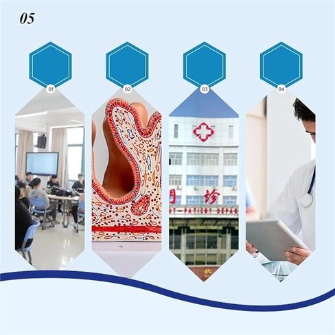 Human Intestinal Villus Disease Model, Flesh in Kuwait