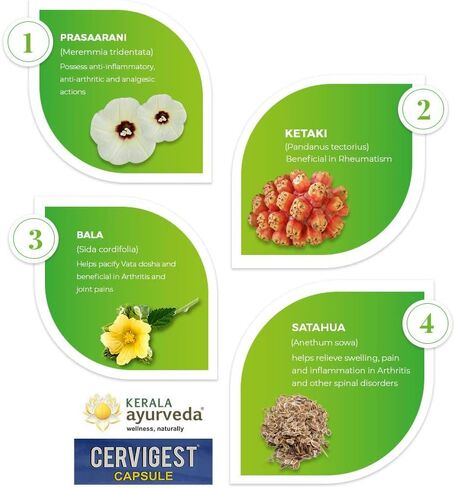 Kerala Ayurveda Cervigest Capsule- 90 CountOne Free Prakruthi Ginger Candy for Each Order. in Kuwait