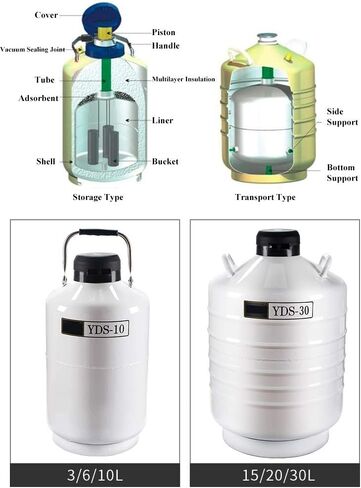 CGOLDENWALL 16L Cryogenic Container Liquid Nitrogen Tank Ln2 Tank in Saudi Arabia