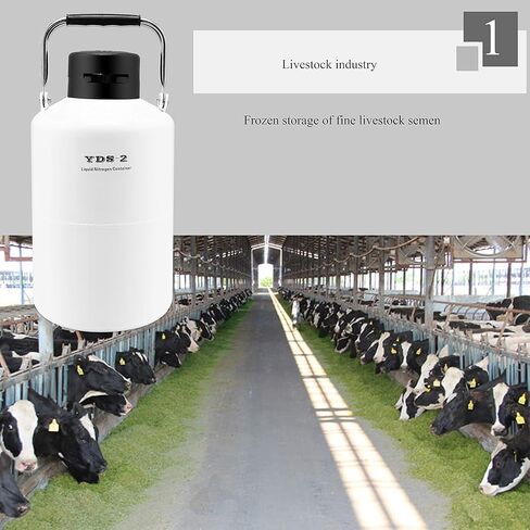 CGOLDENWALL 16L Cryogenic Container Liquid Nitrogen Tank Ln2 Tank in Saudi Arabia