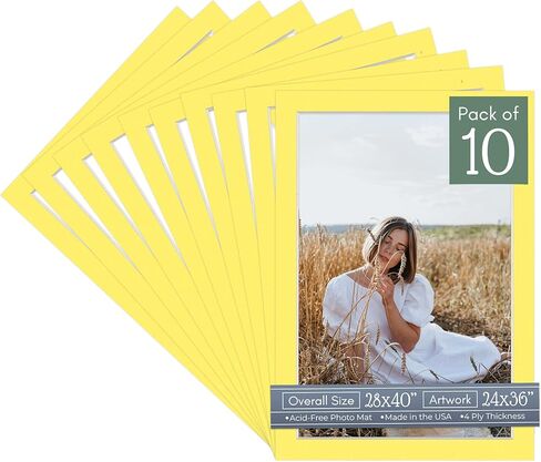 CountryArtHouse Light Purple Acid Free 28x40 Picture Frame Mats with White Core Bevel Cut for 24x36 Pictures - Fits 28x40 Frame - One Mat in Kuwait