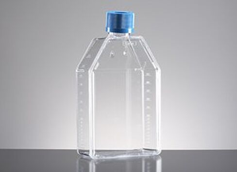 250 mL - Falcon Tissue Culture Flasks, Sterile, Corning in Saudi Arabia