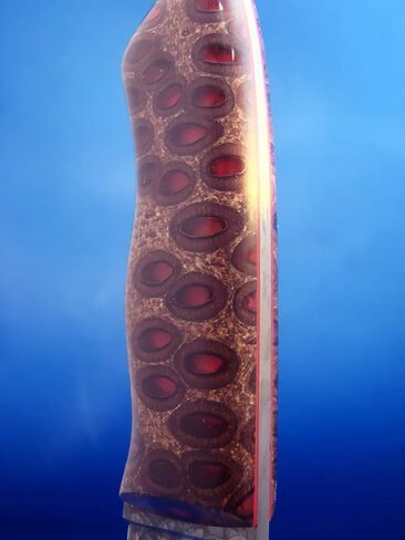 طقم راتنج MAX CLR A/B سعة 1.5 جالون - آمن للطعام 4 طلاء اتصال مباشر، شفاف كريستالي، مقاوم للبقع، طلاء سطح الطاولة والطاولة، راتنج صب - عرض تفاصيل المنتج أدناه in Kuwait